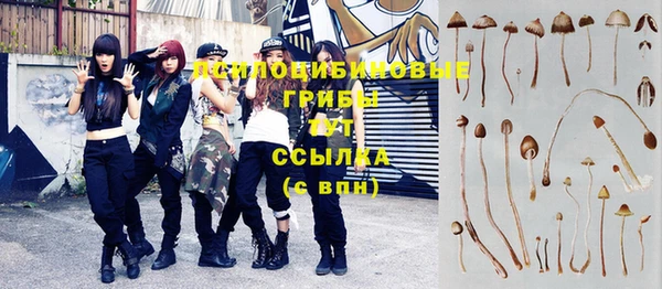 бошки Армянск