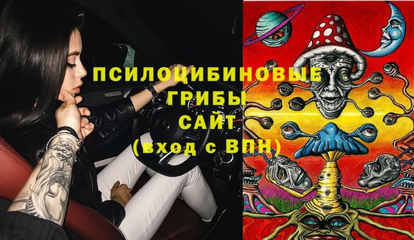бошки Армянск