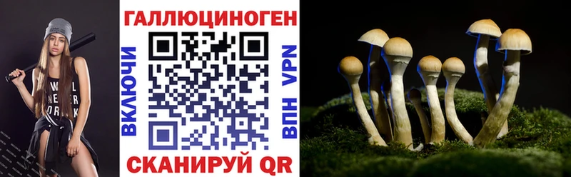 сайты даркнета формула  Суворов  Галлюциногенные грибы Psilocybine cubensis 