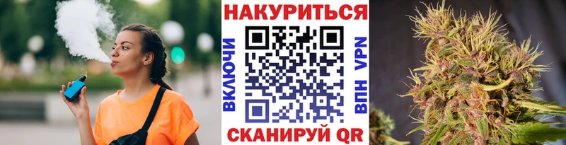 Бошки Шишки ГИДРОПОН  Суворов 